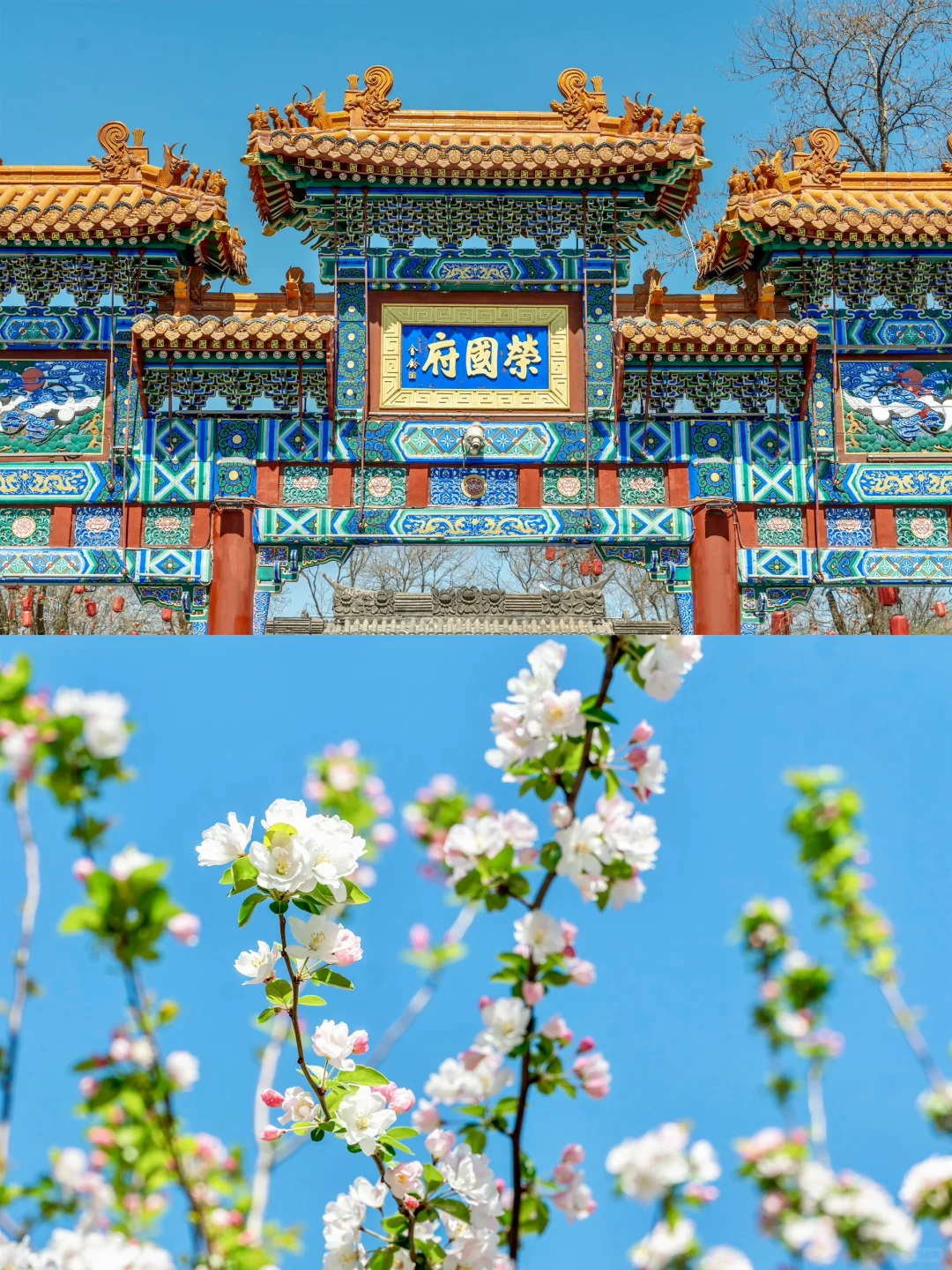 为了这1️⃣8️⃣张图，我特意去了一趟石家庄‼️