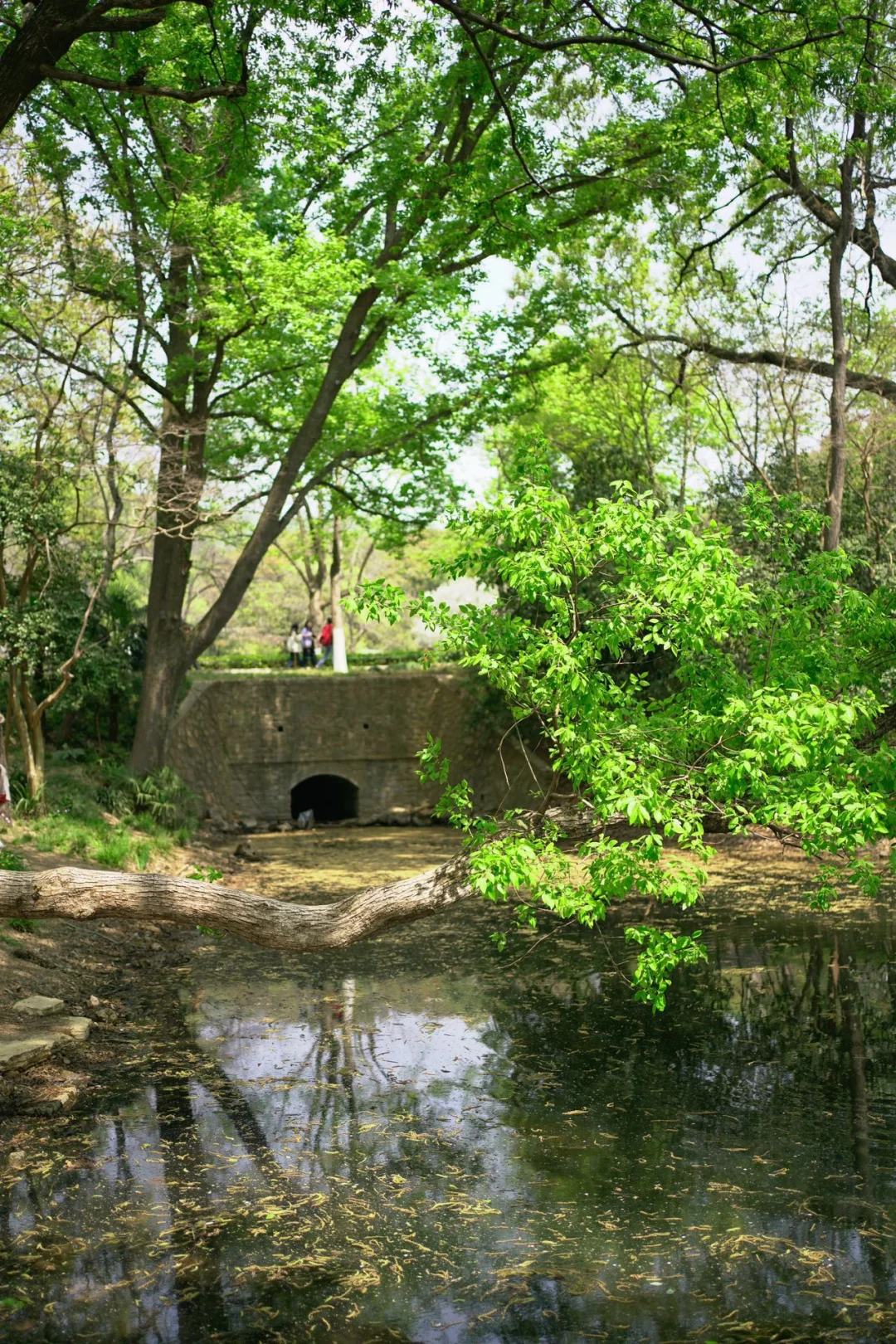 南京亲子游‼️实测不费腿不挤人攻略😎抄作业