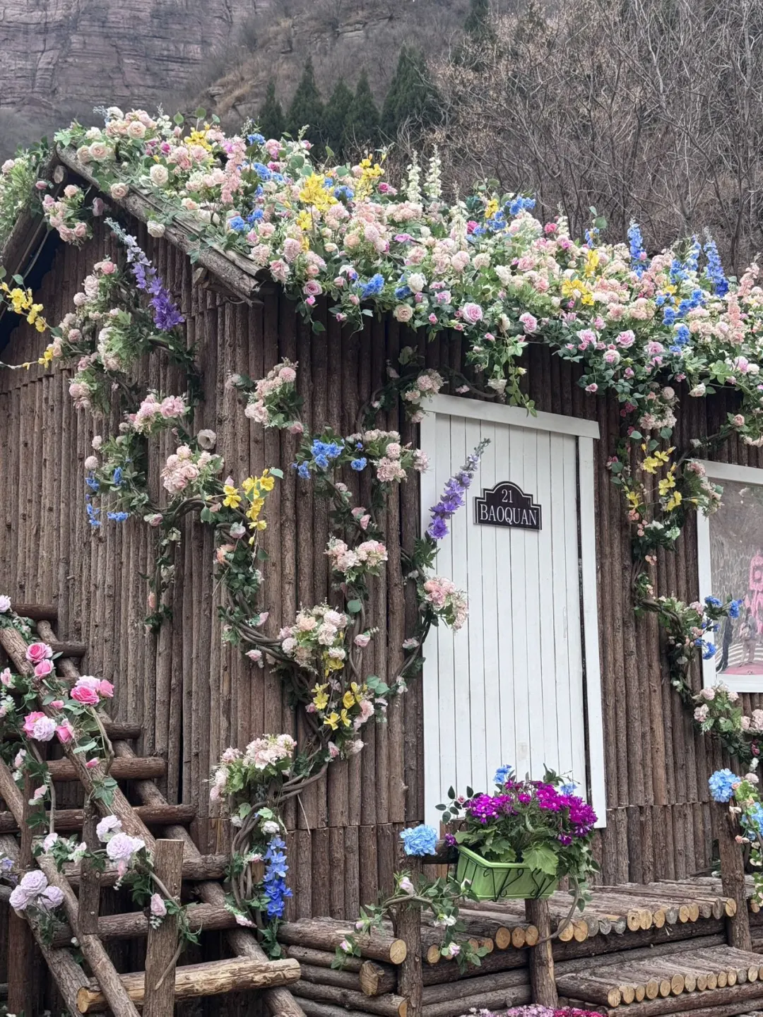 河南版莫奈花园！宝泉郁金香花海错过等一年
