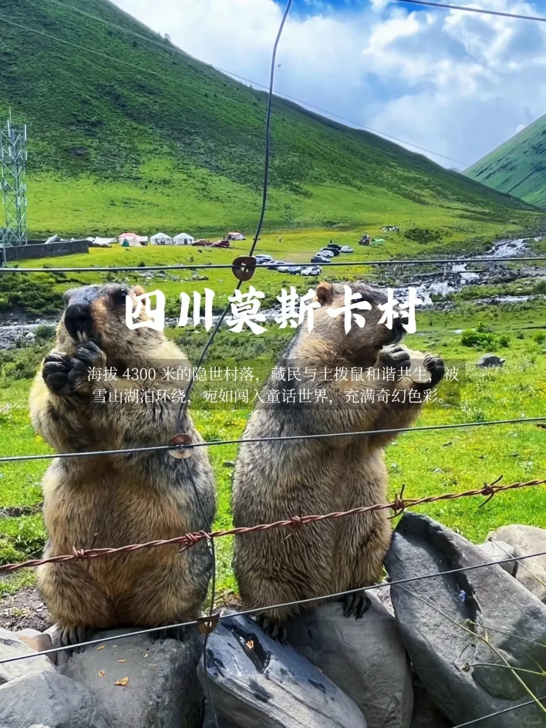 国内🔟个适合假期反向旅游小众冷门目的地