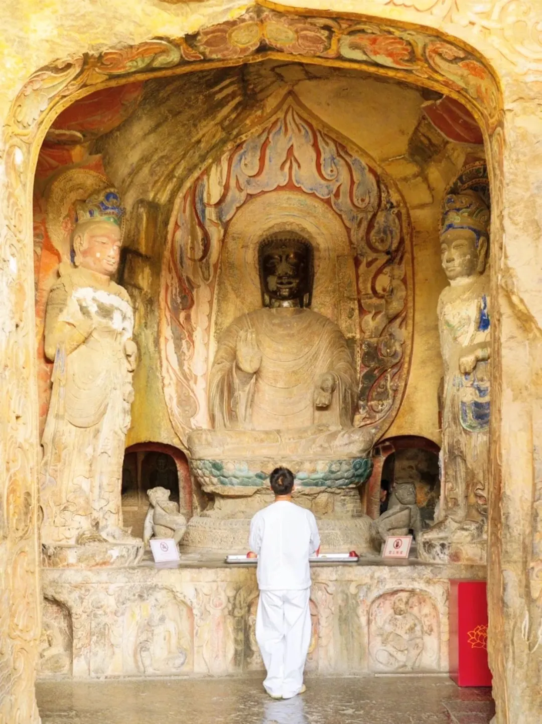 本爱北京，直到我遇见邯郸的浪漫💕