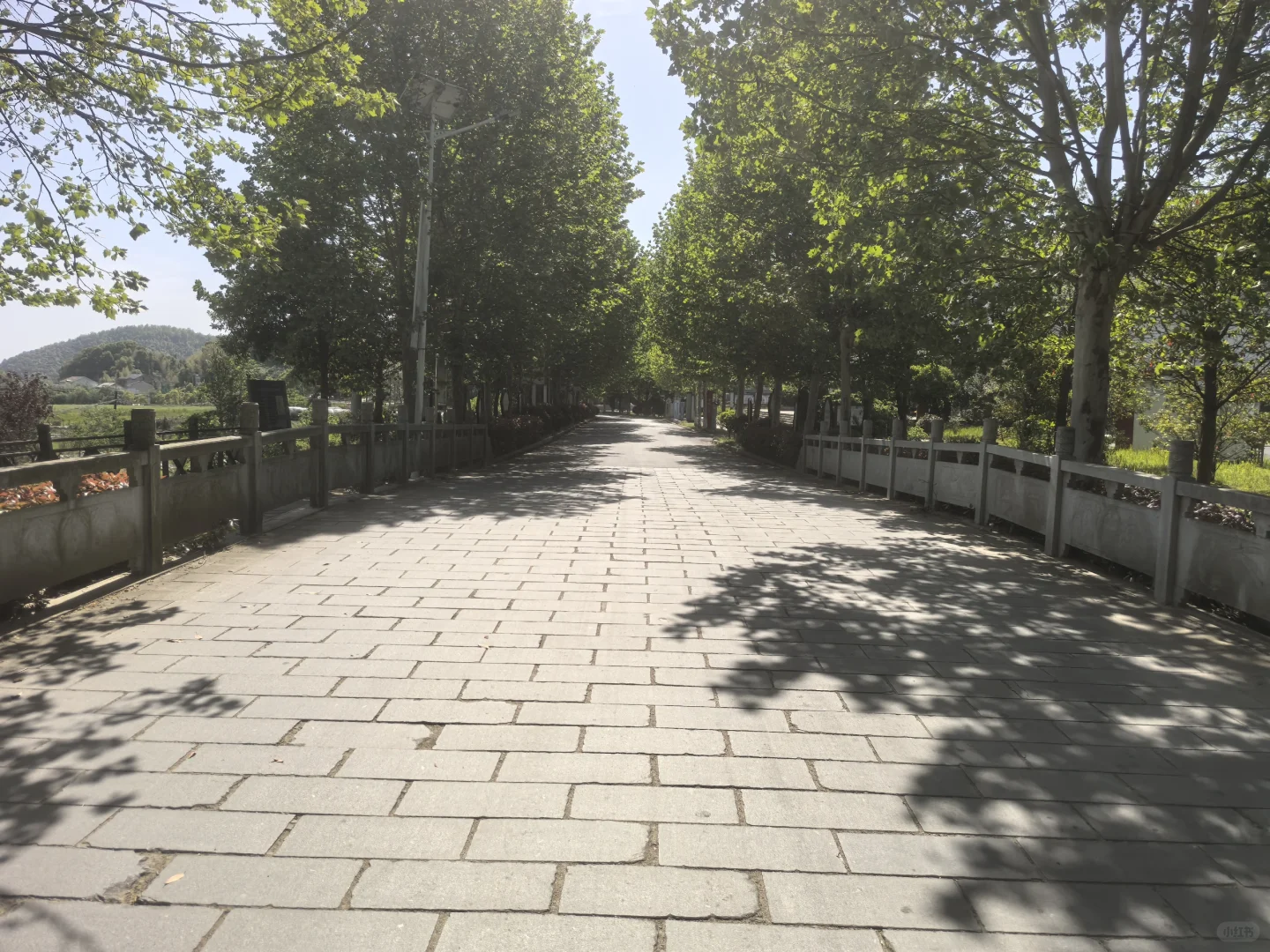 当风力发电邂逅绝美景区会碰出怎么样的火花