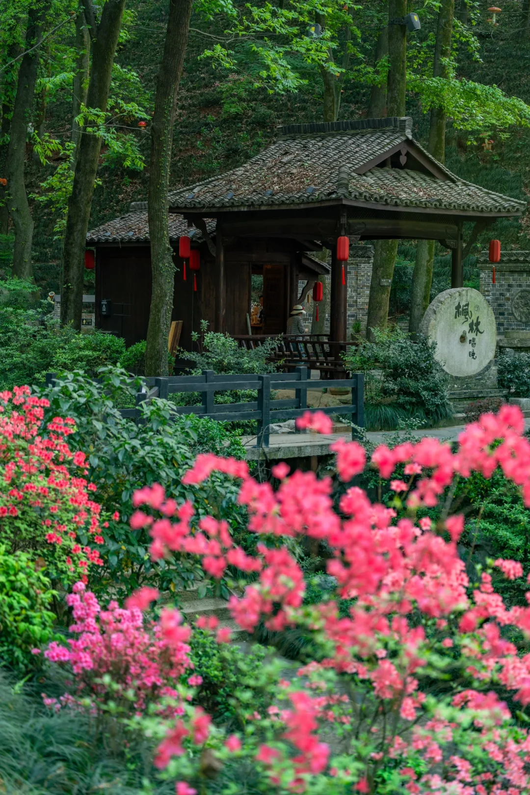 迄今为止，我最喜欢的春日小镇出现了