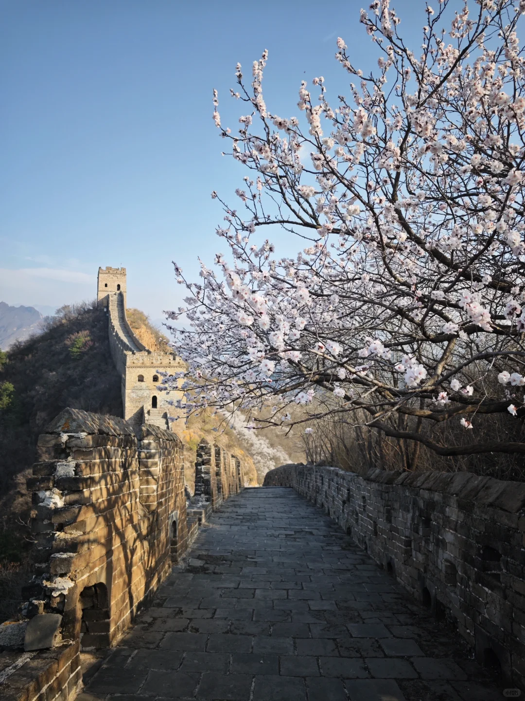 北京去长城怎么最合适