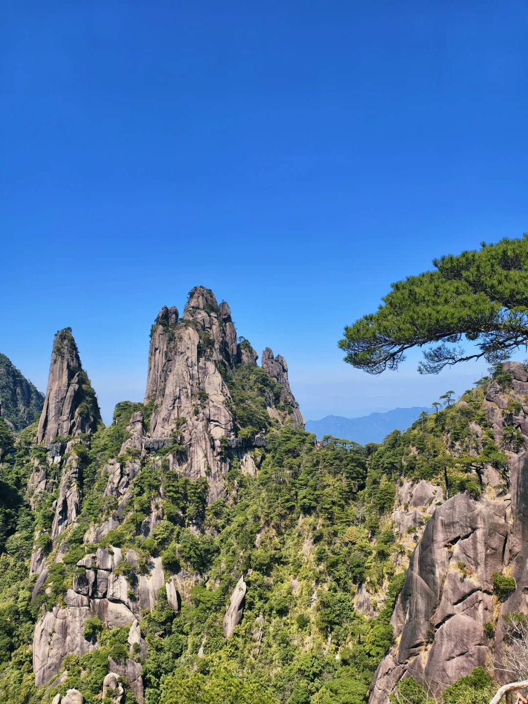 来三清山了！不虚此行⛰️