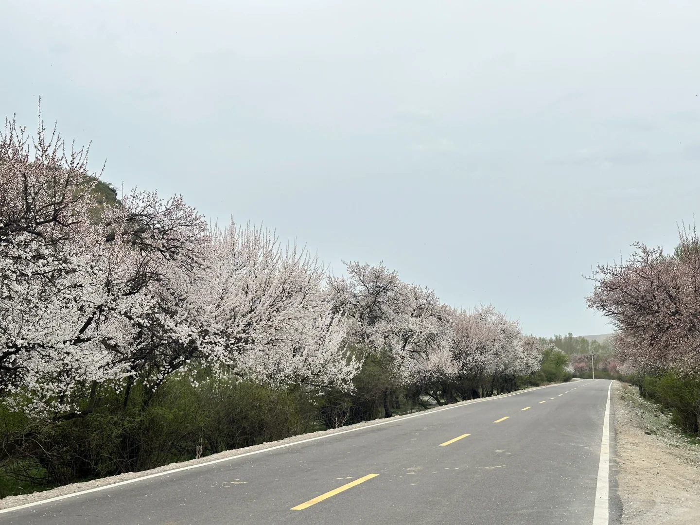 时间有限，风光无限