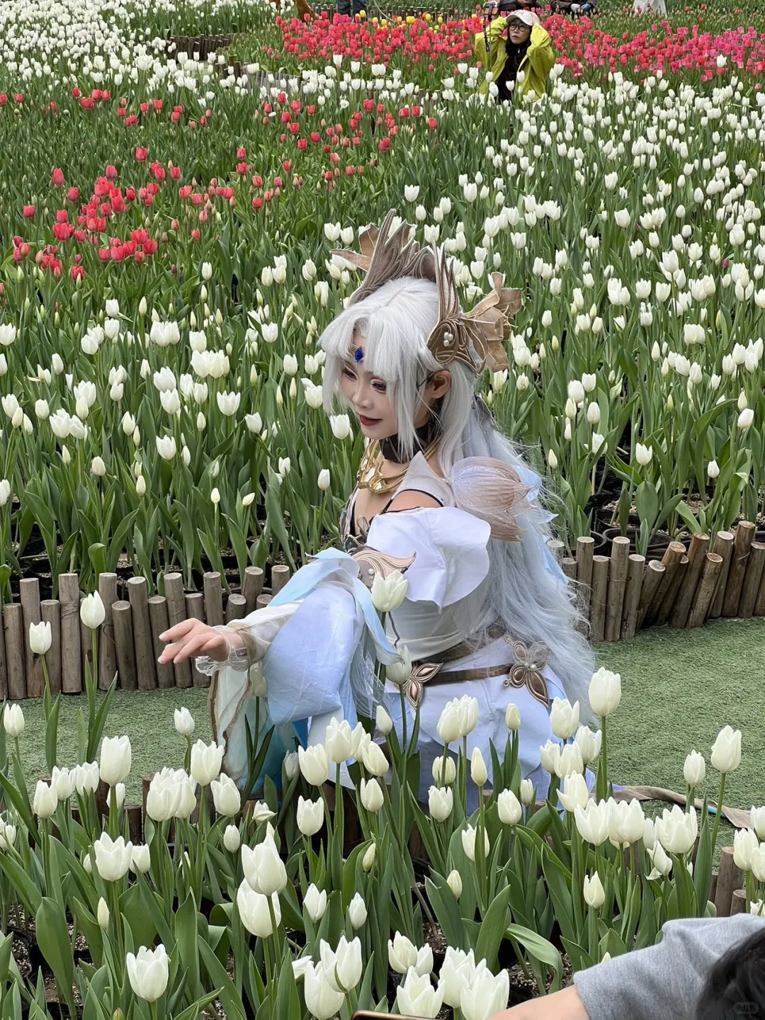 河南版莫奈花园！宝泉郁金香花海错过等一年