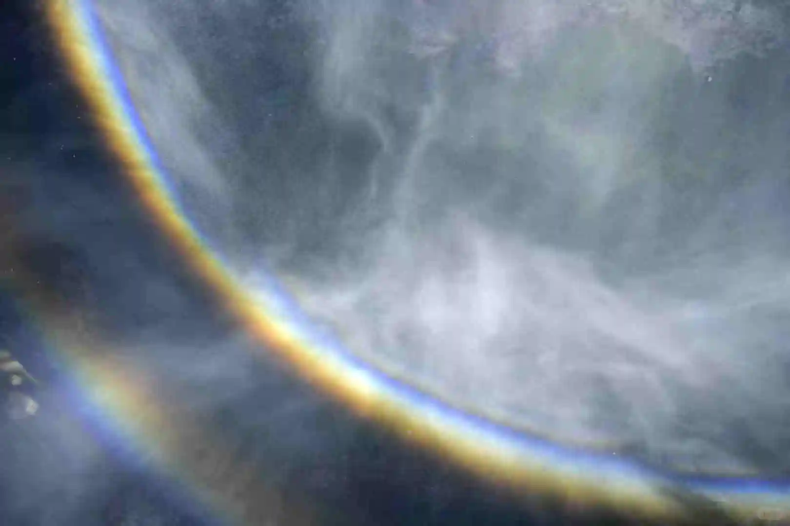 植物爱好者的探索之行