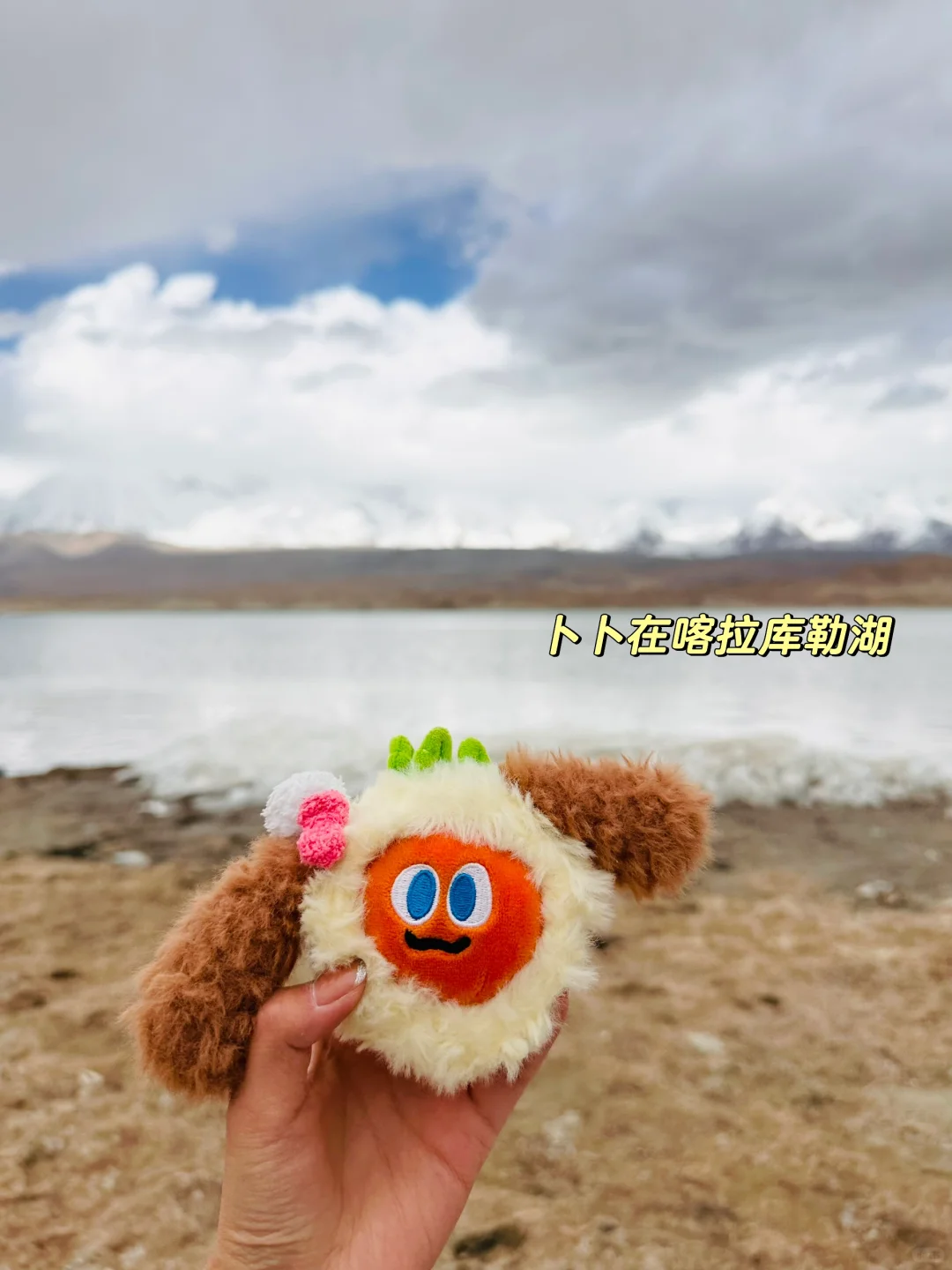 带卜卜看世界之🥕卜卜游新疆喀什🌍🏔️