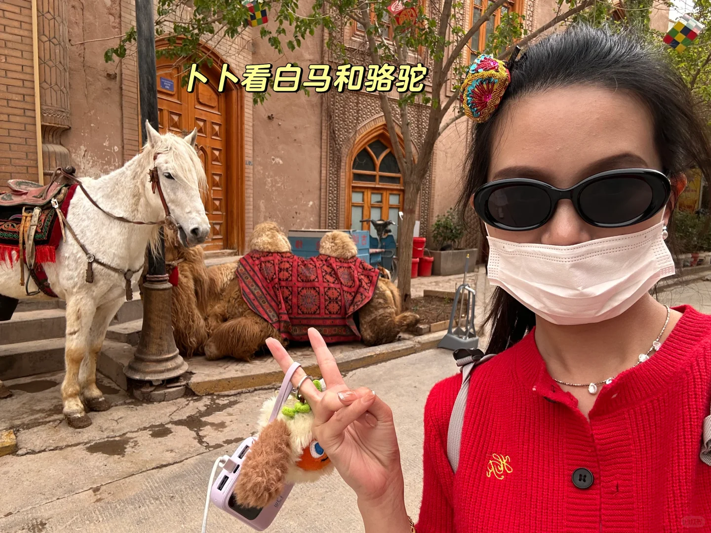 带卜卜看世界之🥕卜卜游新疆喀什🌍🏔️