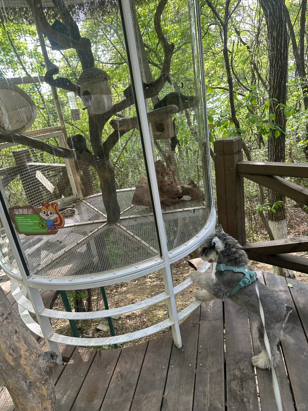 打卡宠物友好景区之溧阳天目湖山水园