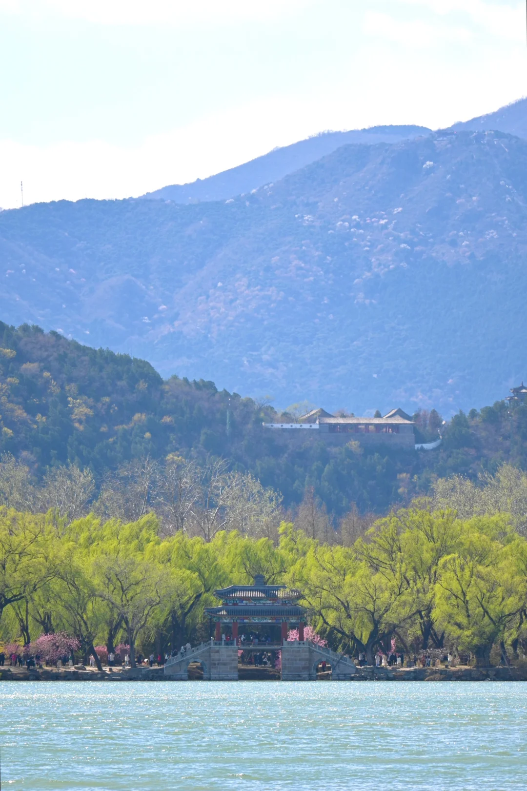 3.29颐和园豳风桥美到next level最佳观赏季