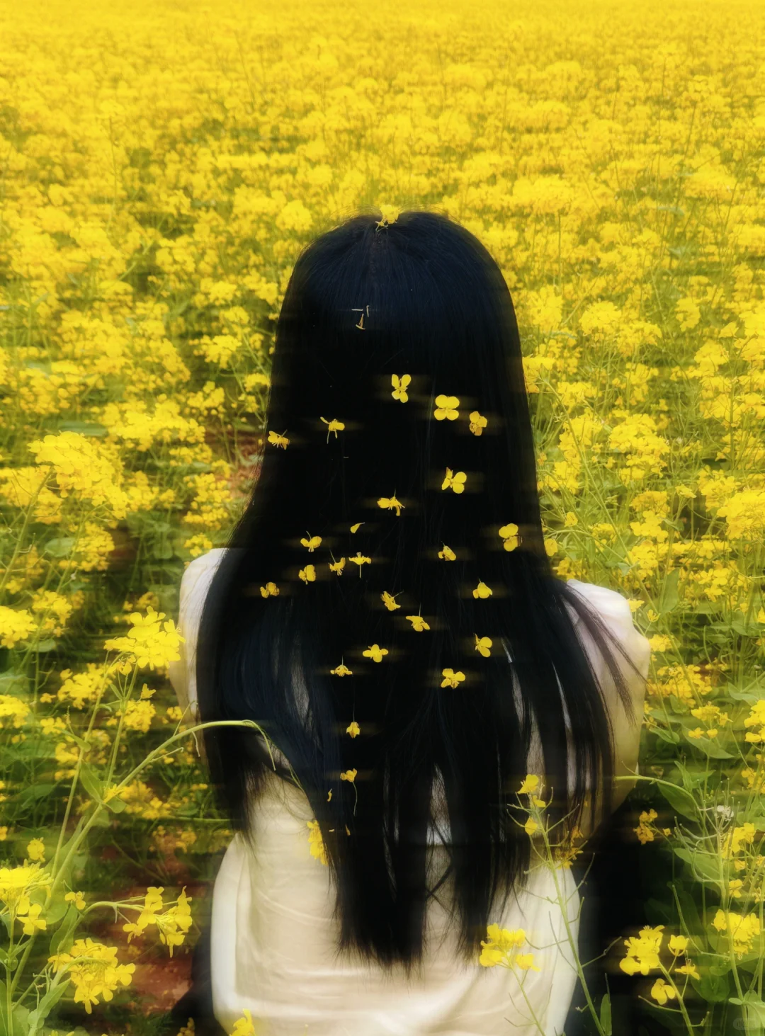 懒人石家庄清明三日游｜邢台沙河