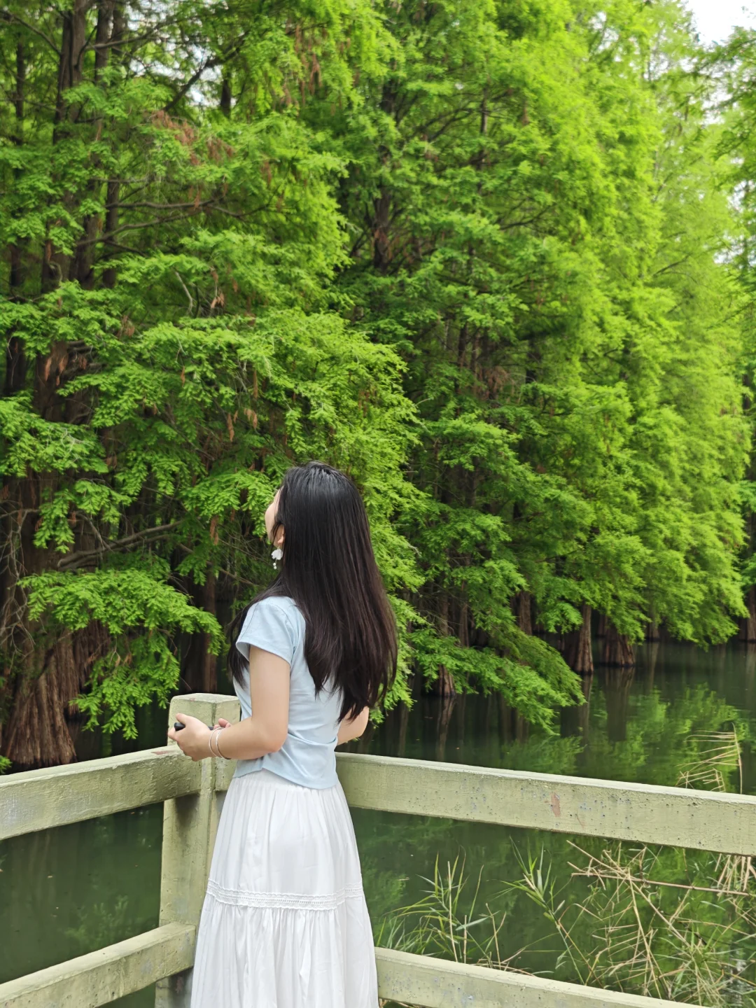 周末鼎湖山自体验