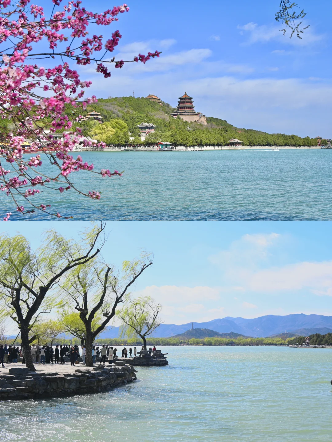 3.29颐和园豳风桥美到next level最佳观赏季