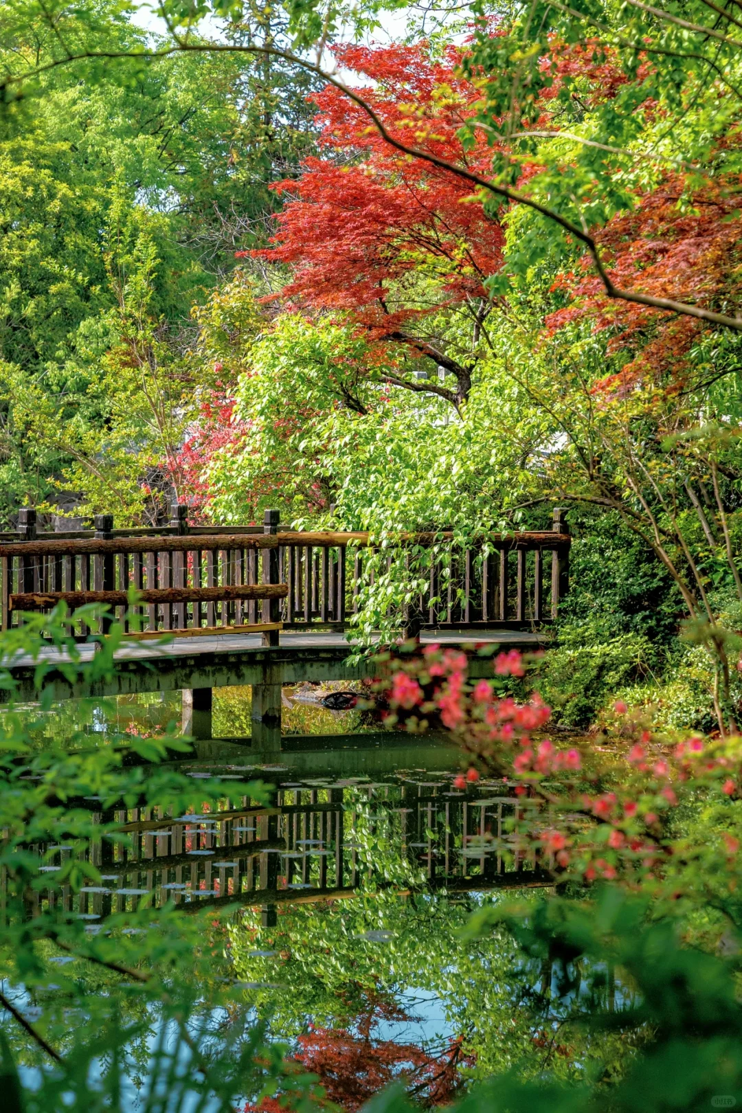 迄今为止，我最喜欢的春日小镇出现了