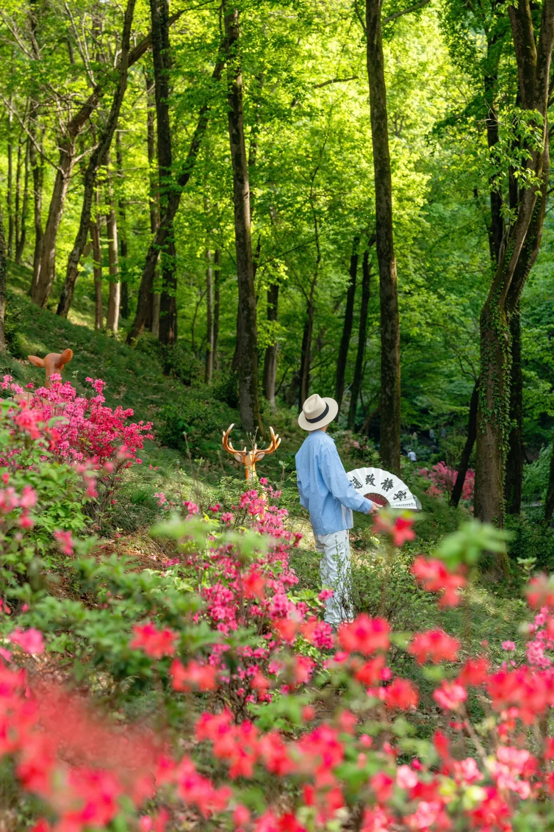 迄今为止，我最喜欢的春日小镇出现了