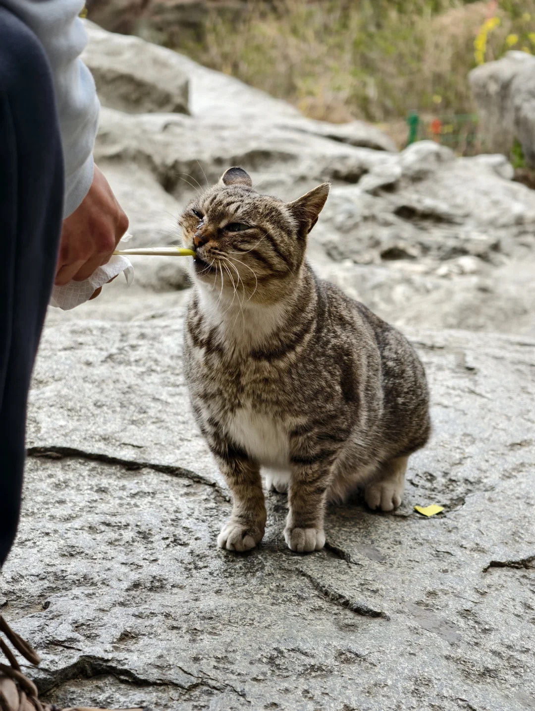 爬泰山，一定要走桃花峪徒步下山！太美啦！