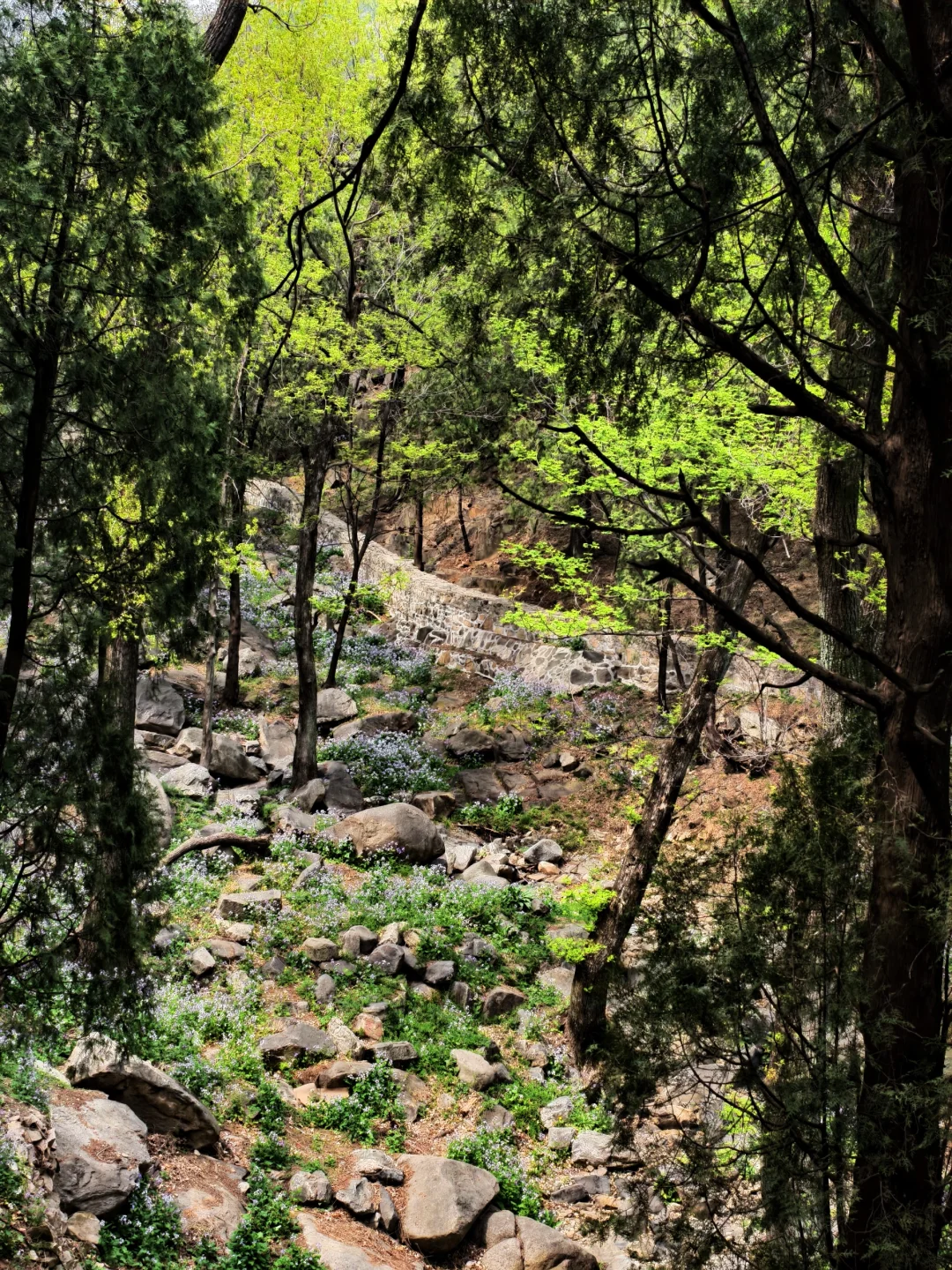 爬泰山，一定要走桃花峪徒步下山！太美啦！
