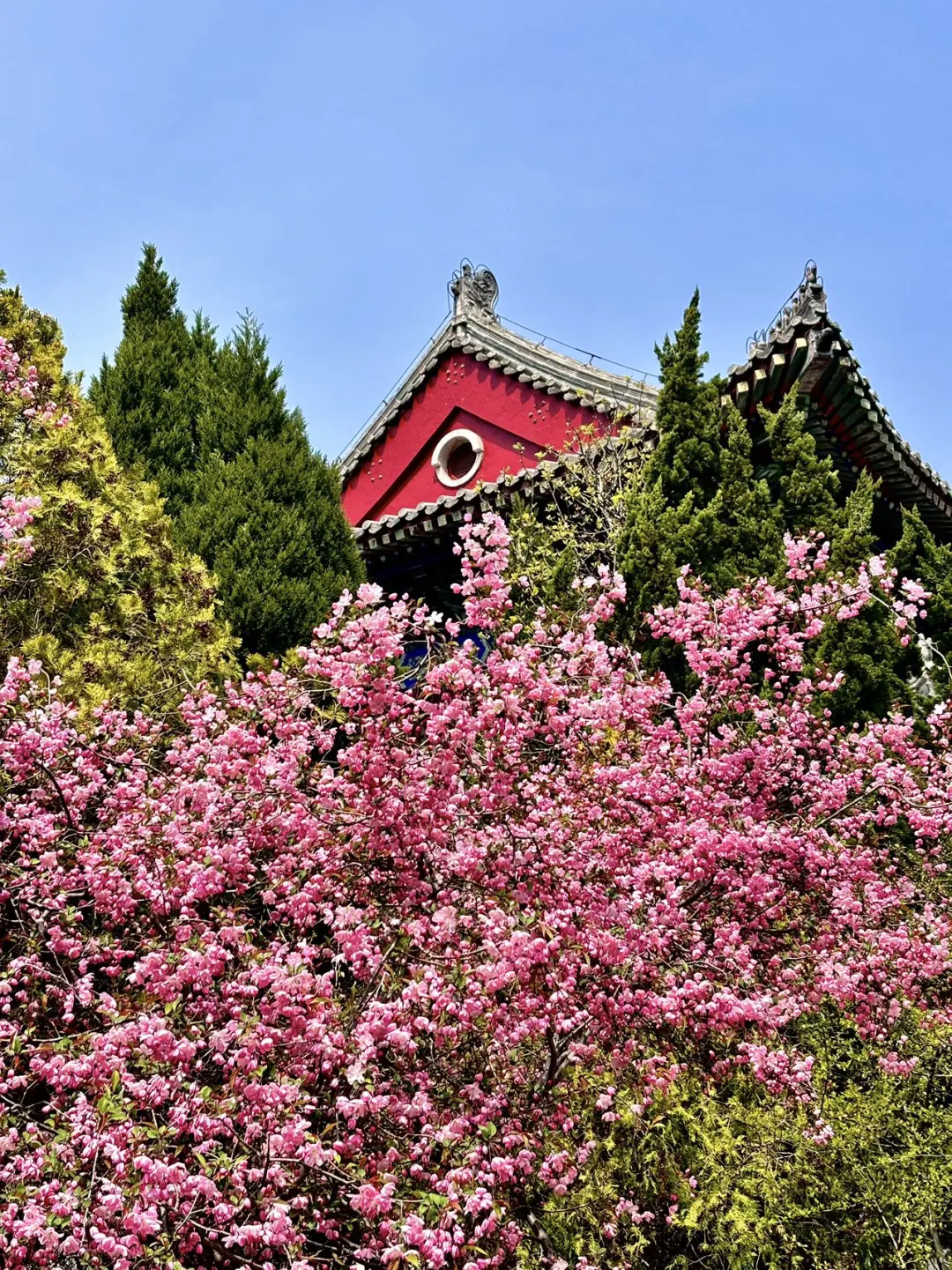 一起追寻穿墙术！就来崂山太清宫！