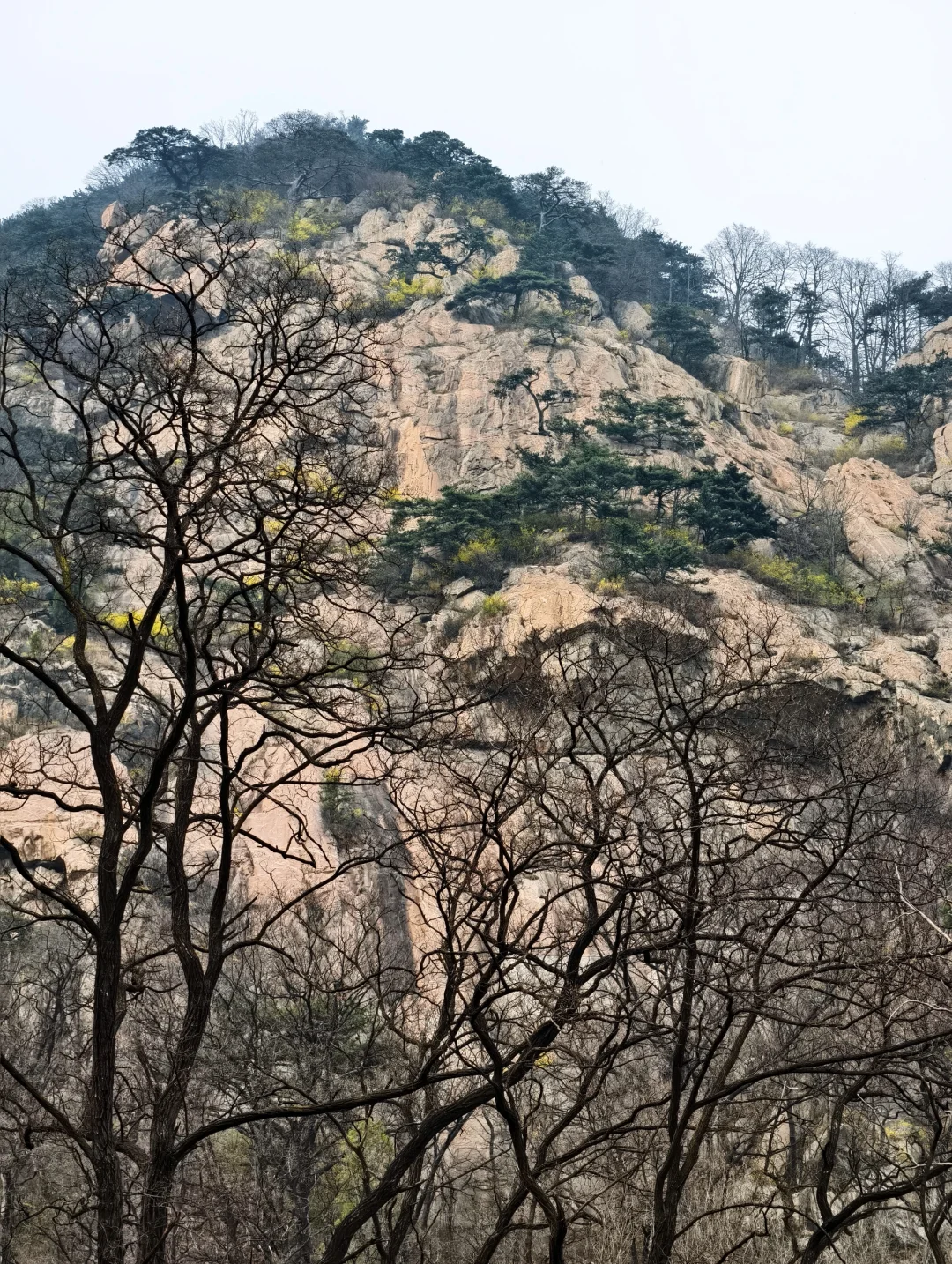 爬泰山，一定要走桃花峪徒步下山！太美啦！