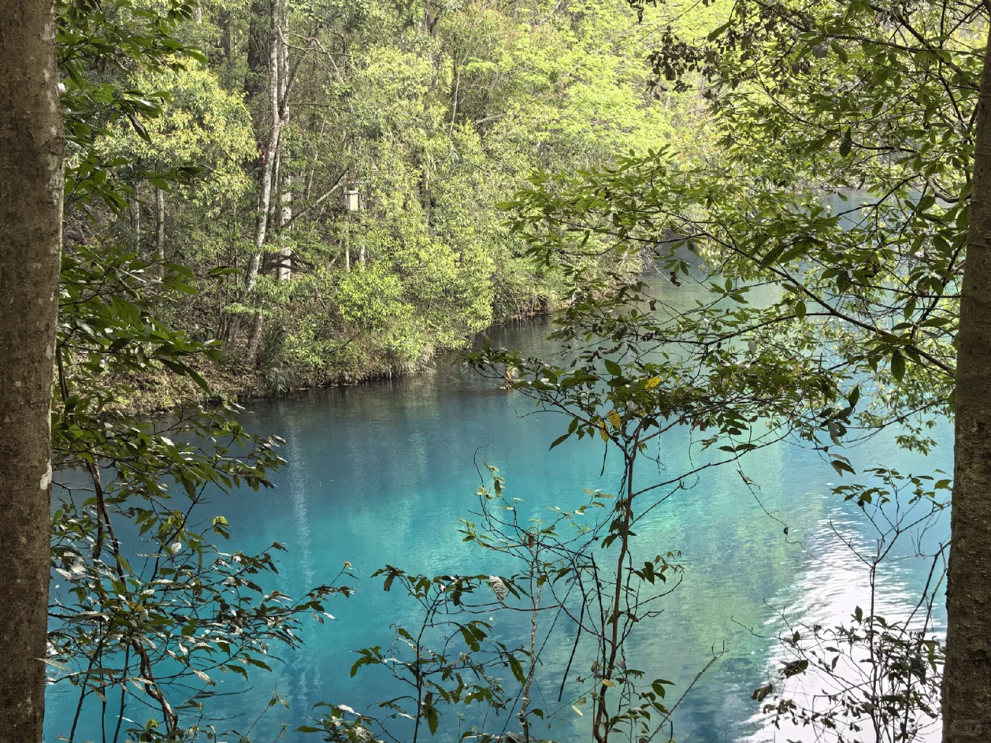 🌟地球上掉落的绿宝石被我找到啦！