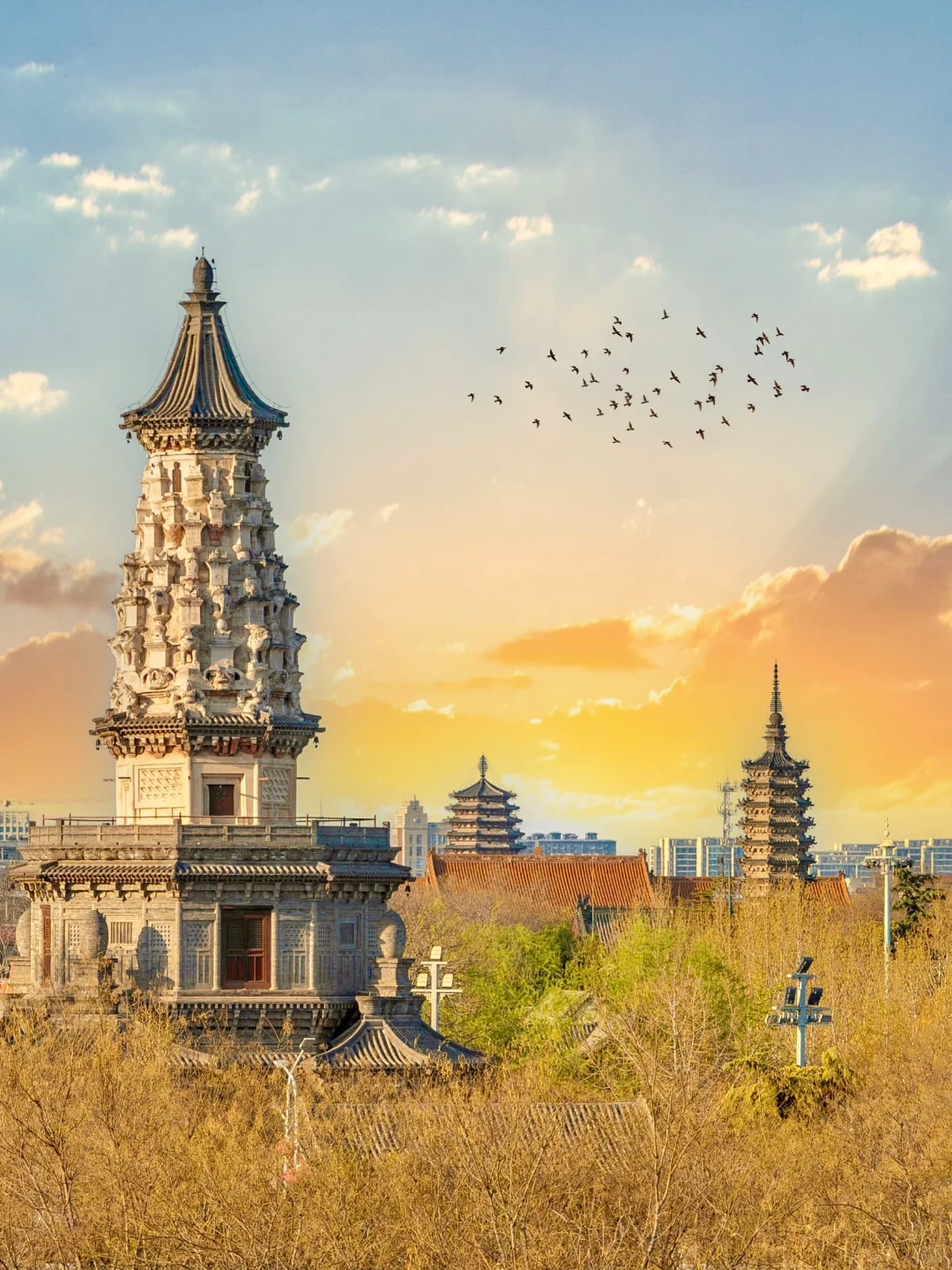 为了这1️⃣8️⃣张图，我特意去了一趟石家庄‼️