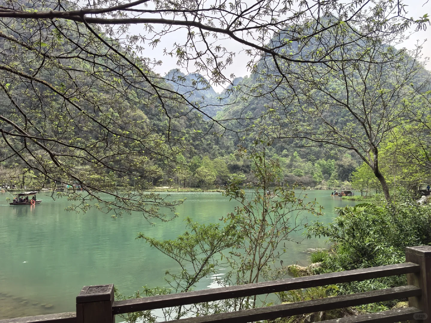 🌟地球上掉落的绿宝石被我找到啦！