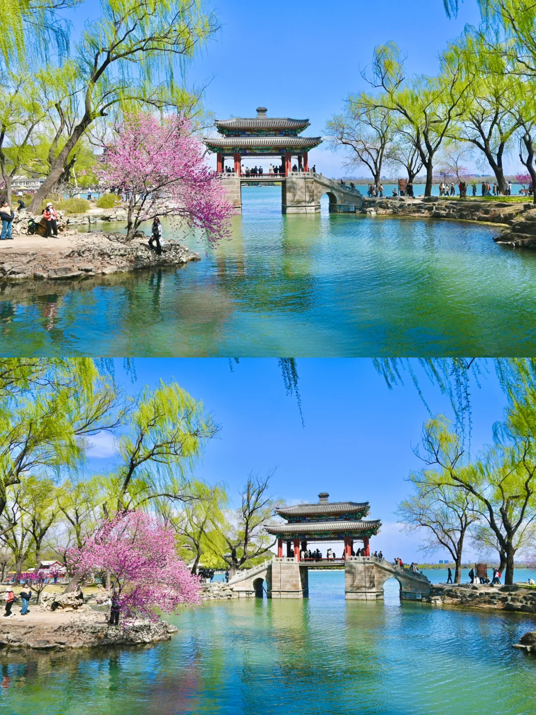 3.29颐和园豳风桥美到next level最佳观赏季