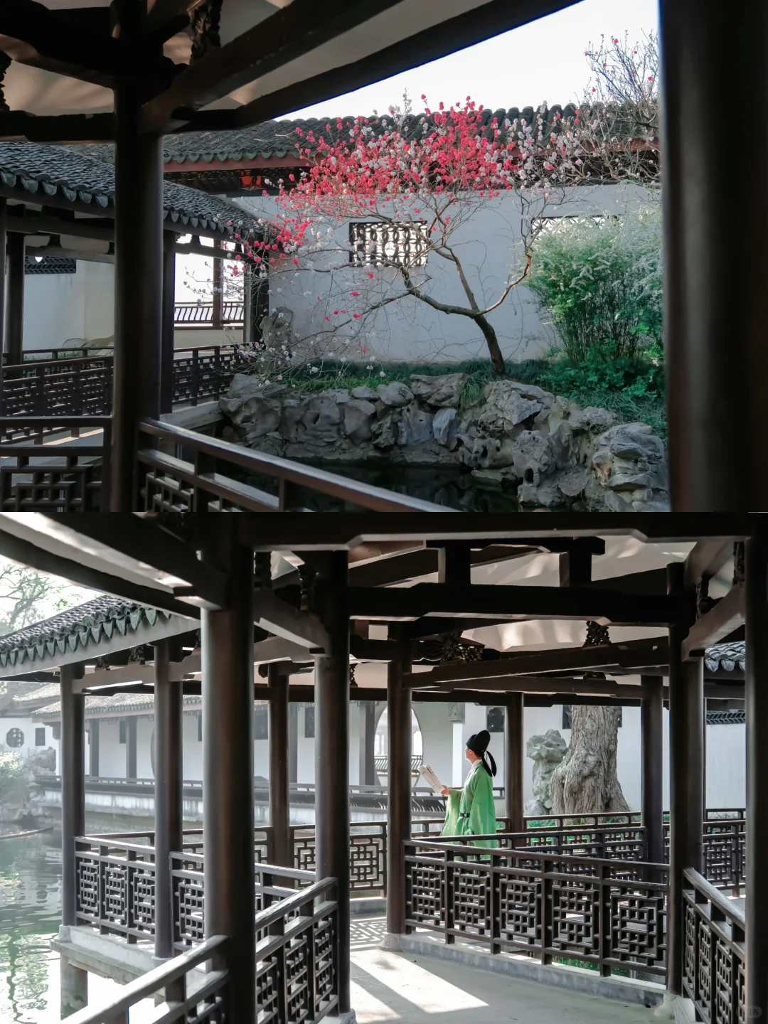 推荐一个绝对冷门但超级震撼的江南园林...