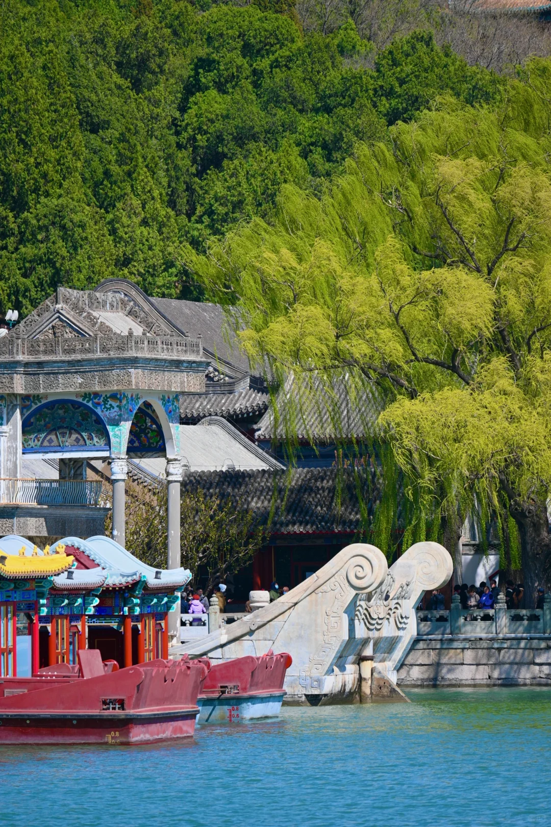 3.29颐和园豳风桥美到next level最佳观赏季