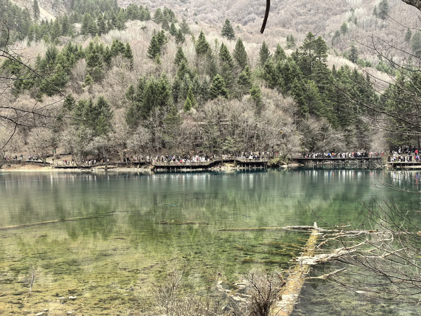 九寨沟特种兵喂饭级攻略