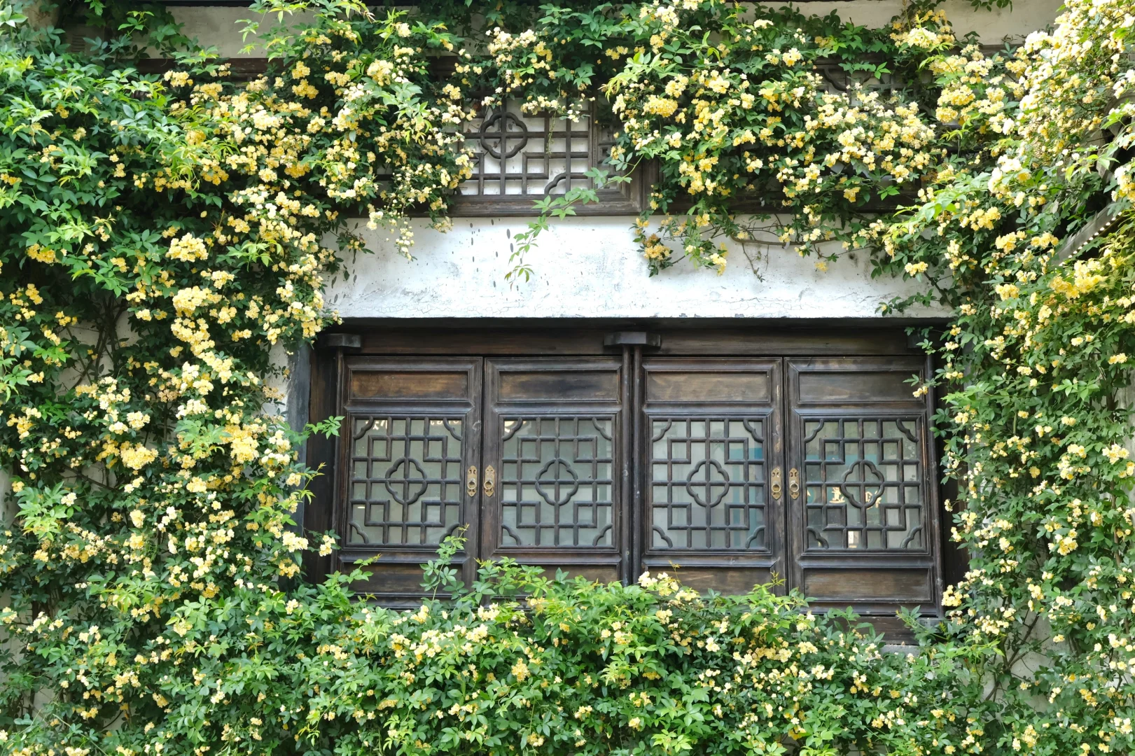 下午三点后｜无锡的这个公园会发光