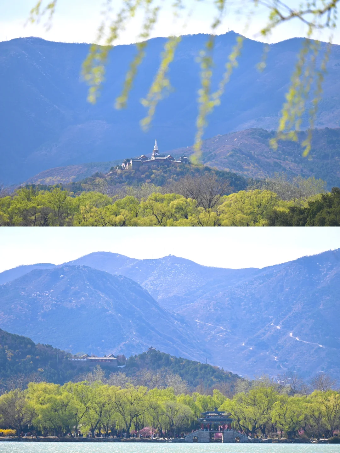 3.29颐和园豳风桥美到next level最佳观赏季