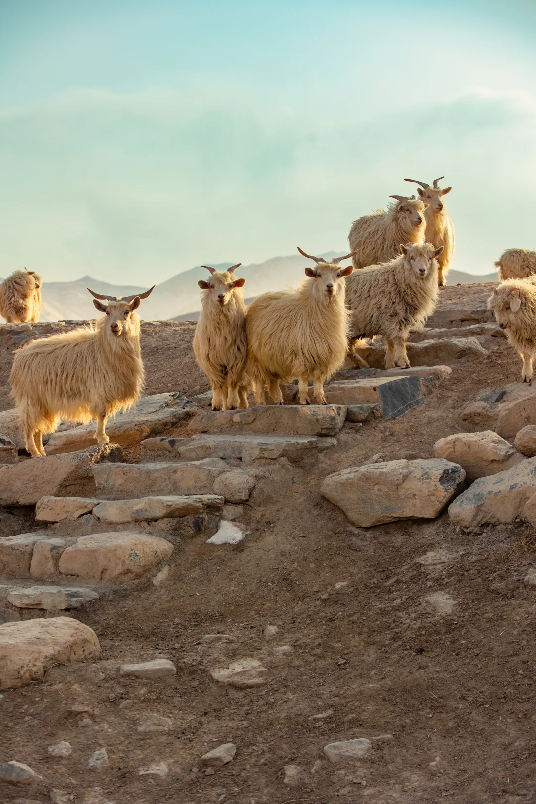 这里满足我对 一片孤城万仞山的一万种想象