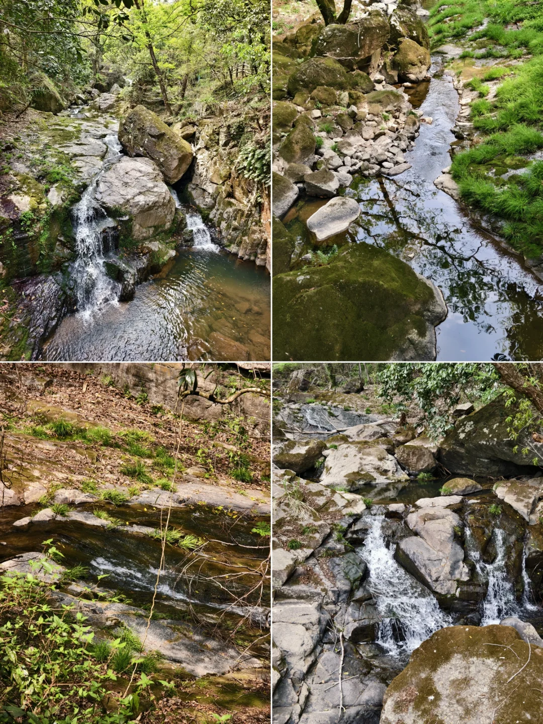 宁波⛰️：迄今为止，最美徒步线，很小白