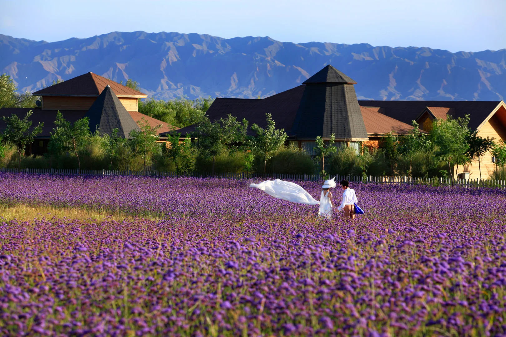 腾格里金沙岛#醉美沙漠花园