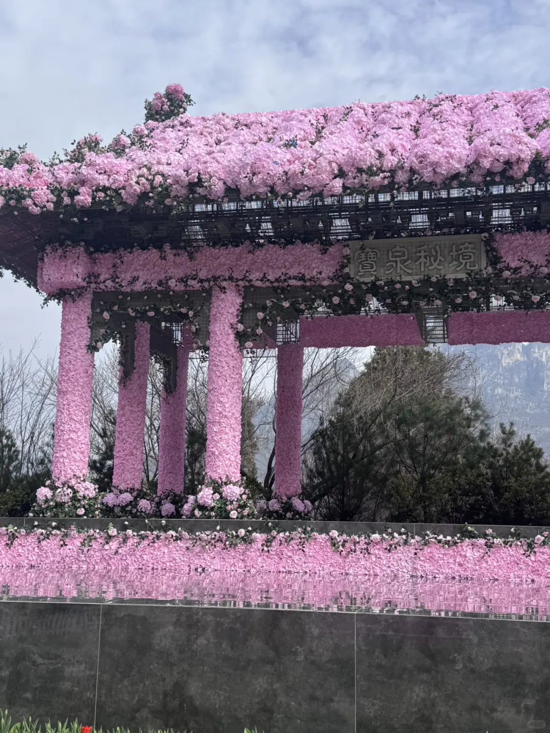 河南版莫奈花园！宝泉郁金香花海错过等一年