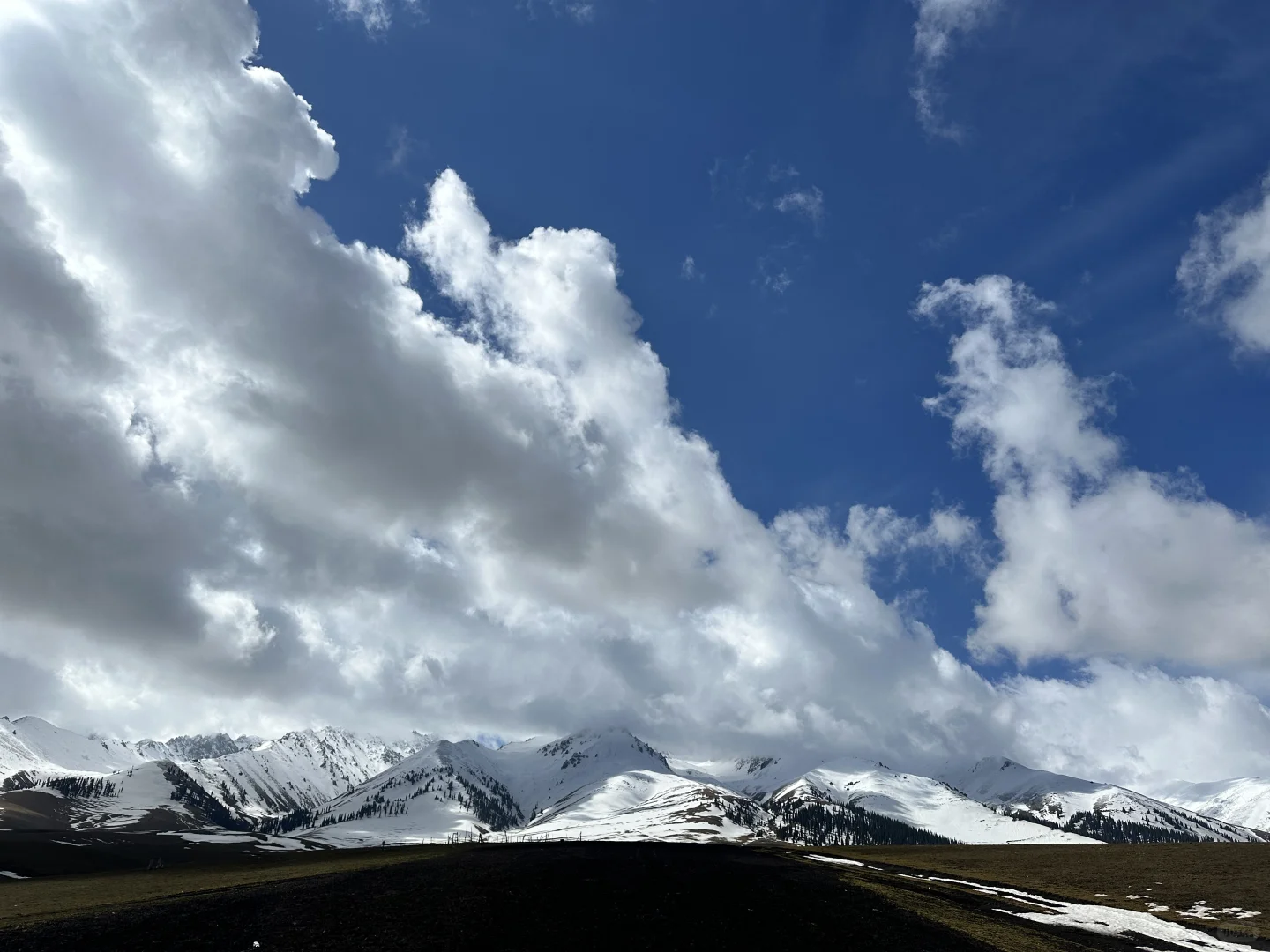 时间有限，风光无限