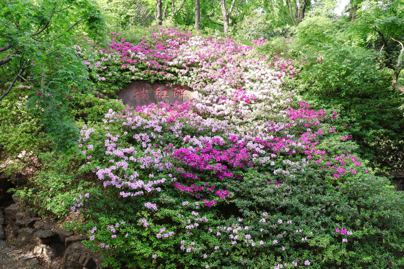 下午三点后｜无锡的这个公园会发光