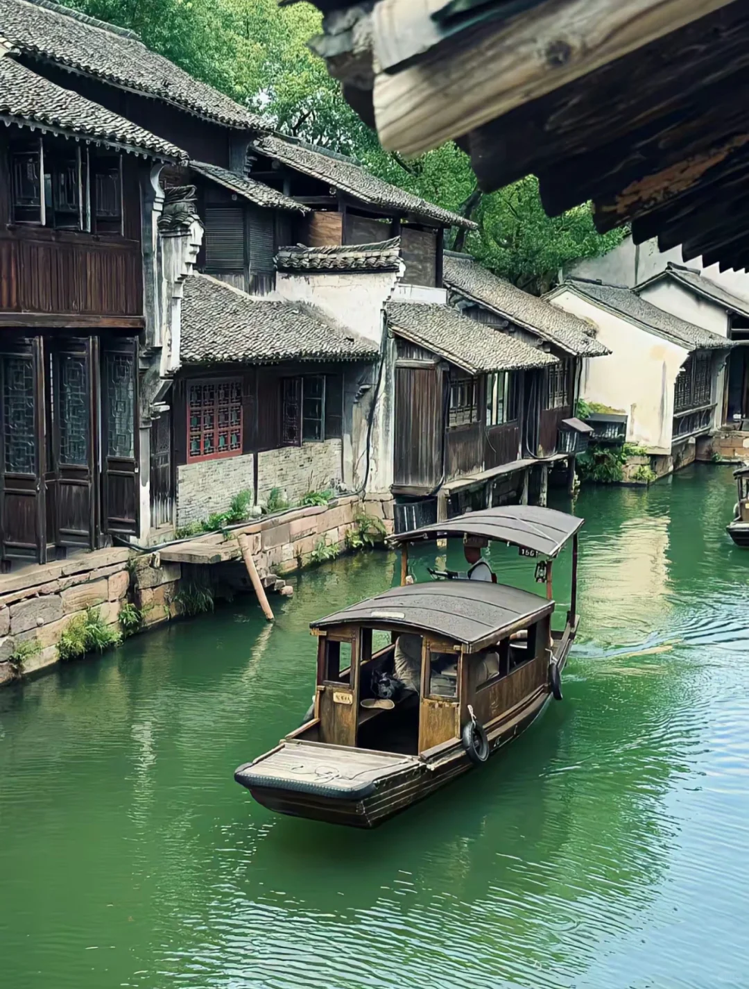 🌉总要下趟江南吧，赴一场乌镇之约