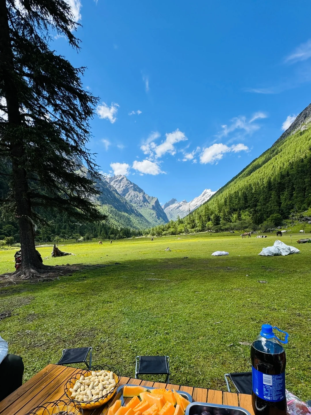 人去不了瑞士，但总得和朋友来川西吧🏔