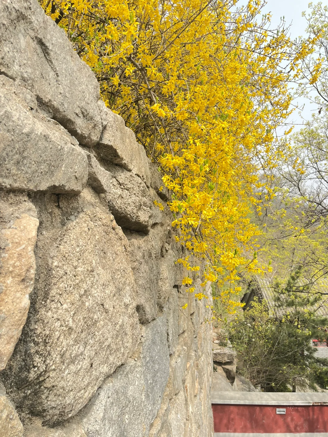 早知有盘山，何必下江南