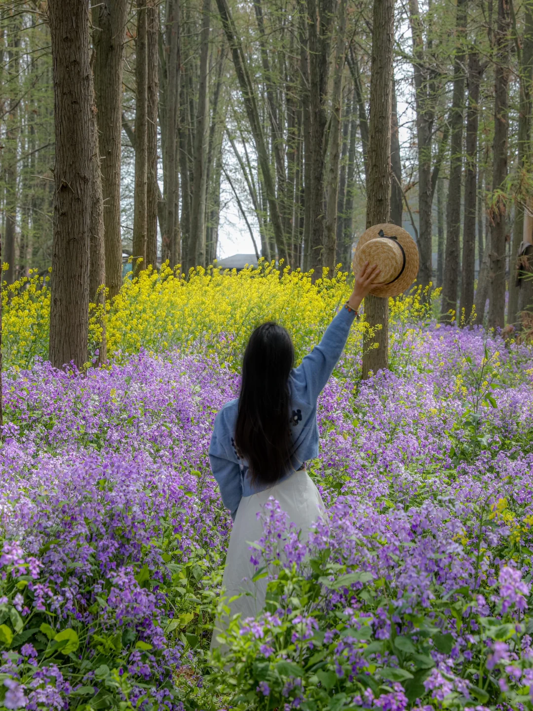 国家地理诚不欺我！水上花田超震撼，美哭了