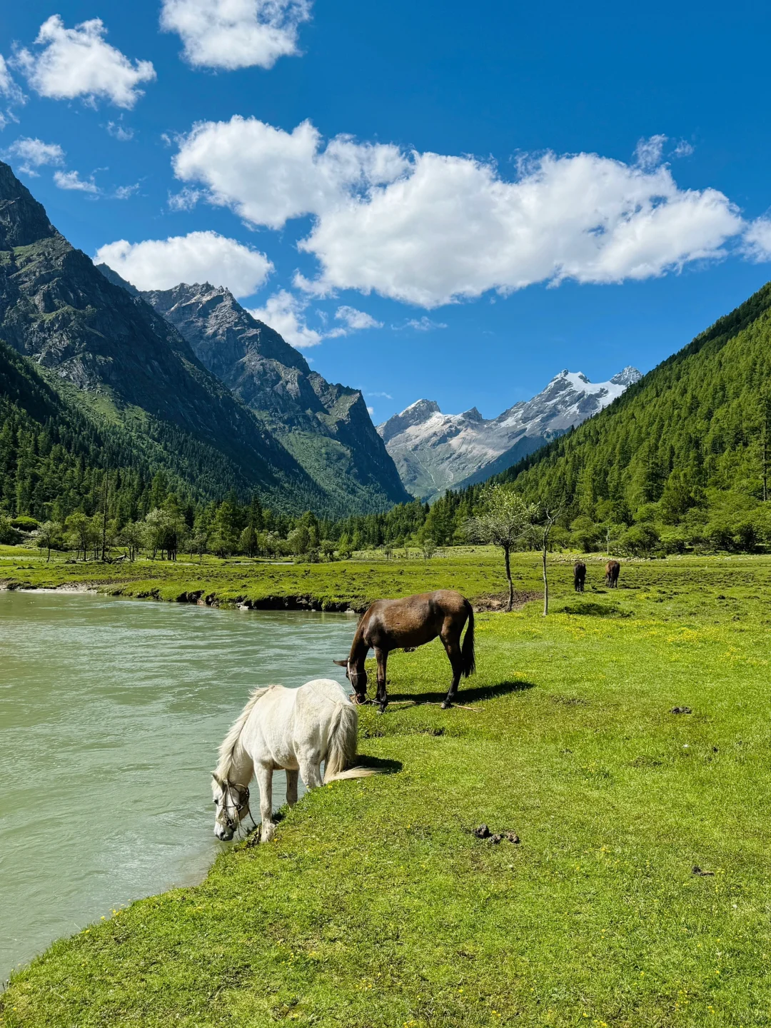 人去不了瑞士，但总得和朋友来川西吧🏔