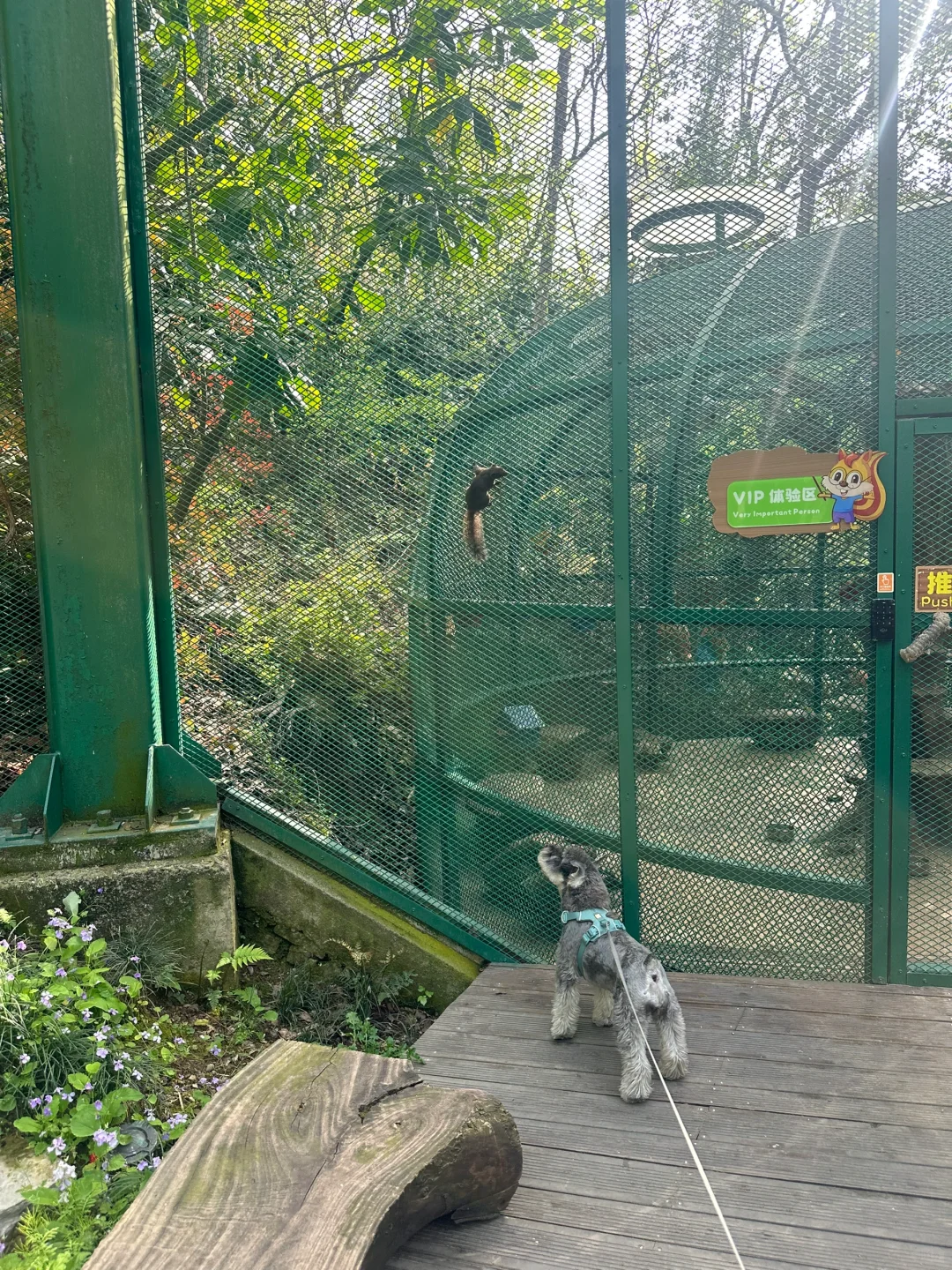 打卡宠物友好景区之溧阳天目湖山水园