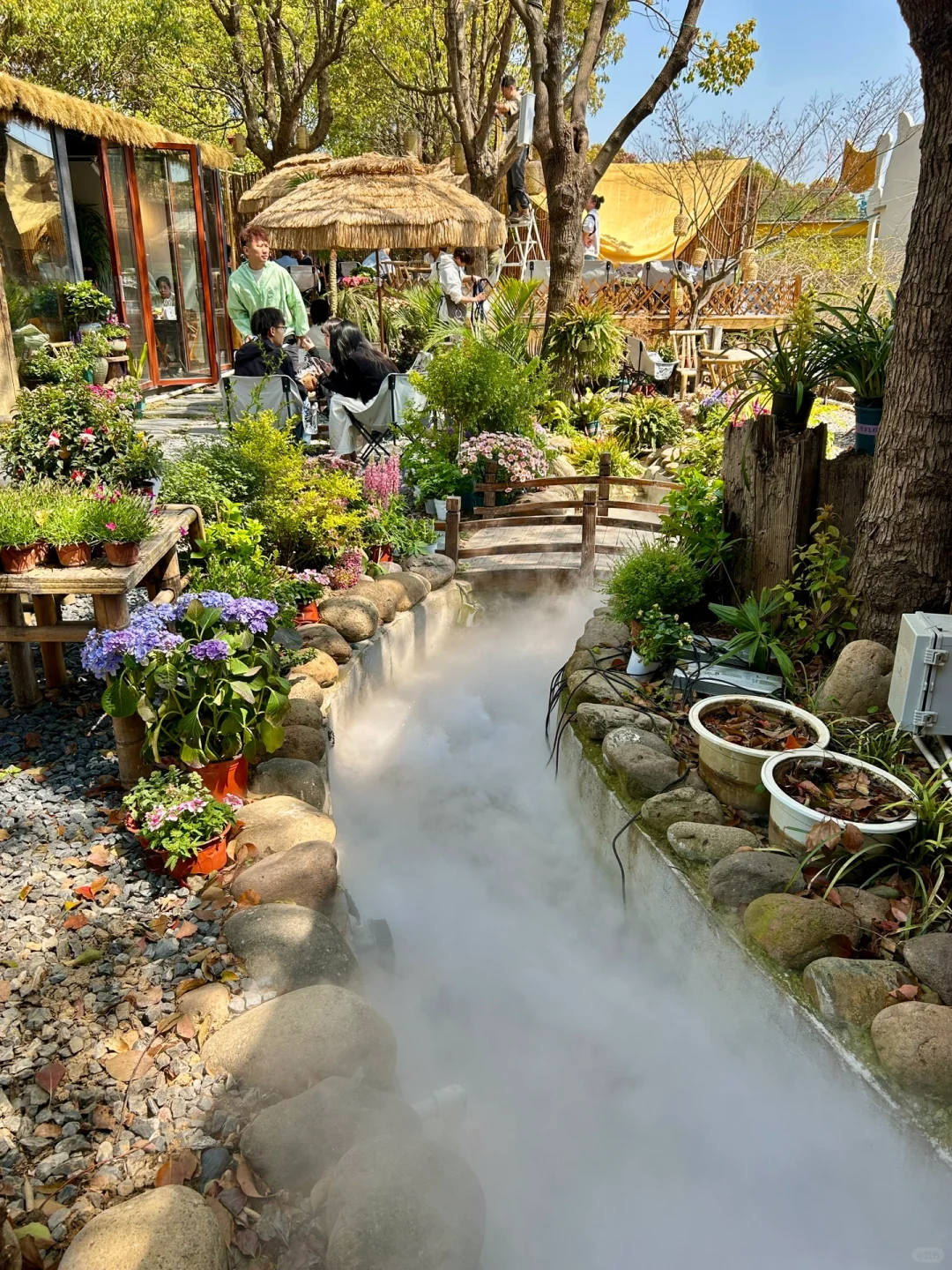 接下来的苏州将美成这样❗️（live）