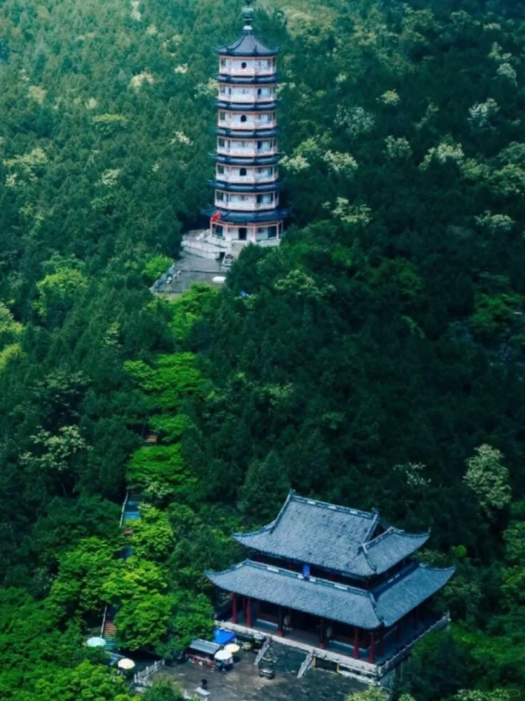 山东6日｜济南+泰山+曲阜保姆级攻略‼️