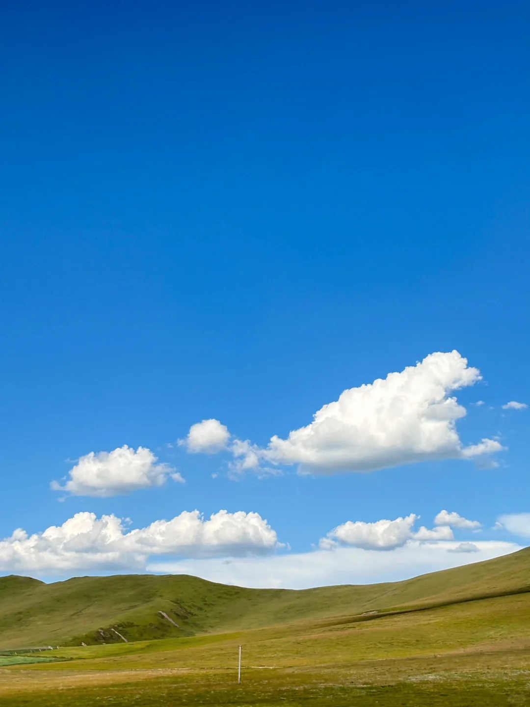 人去不了瑞士，但总得和朋友来川西吧🏔