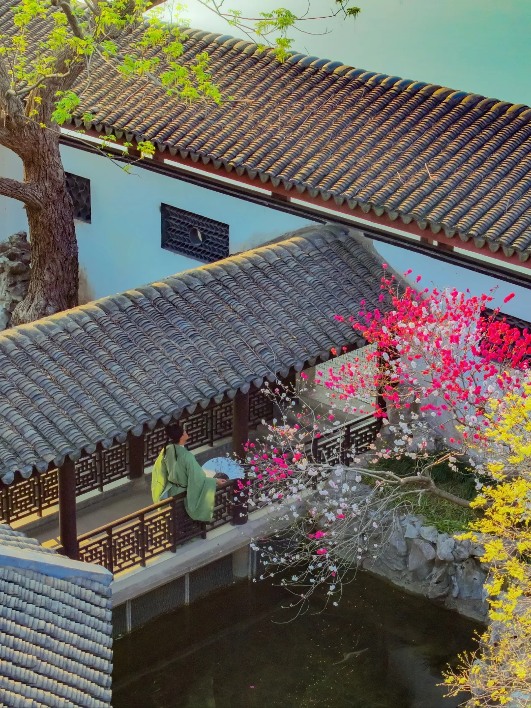 推荐一个绝对冷门但超级震撼的江南园林...